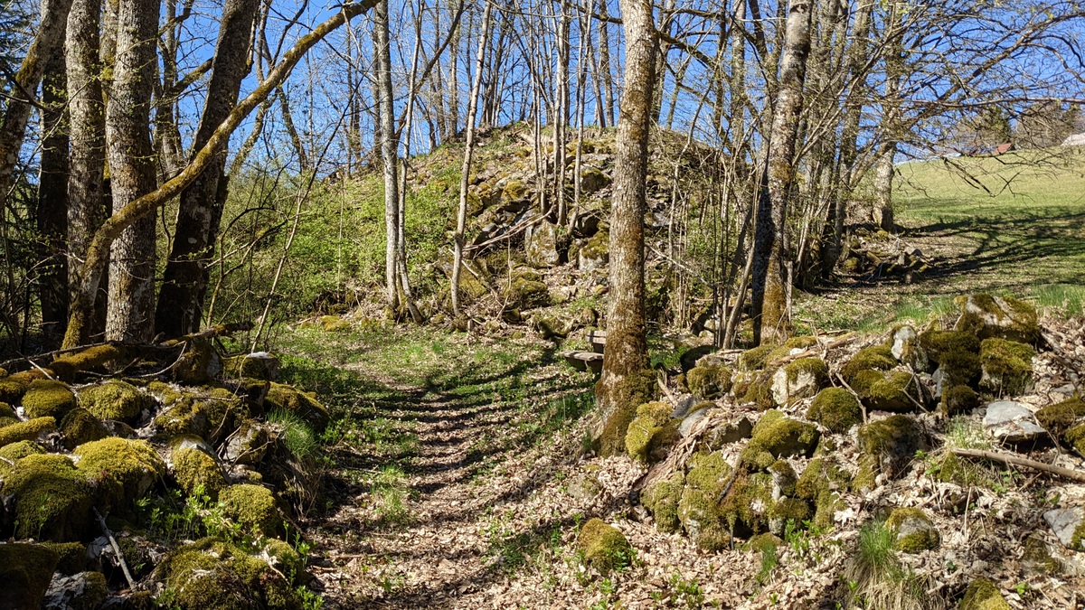 Steinstrukturen am Weg im Hotzenwald