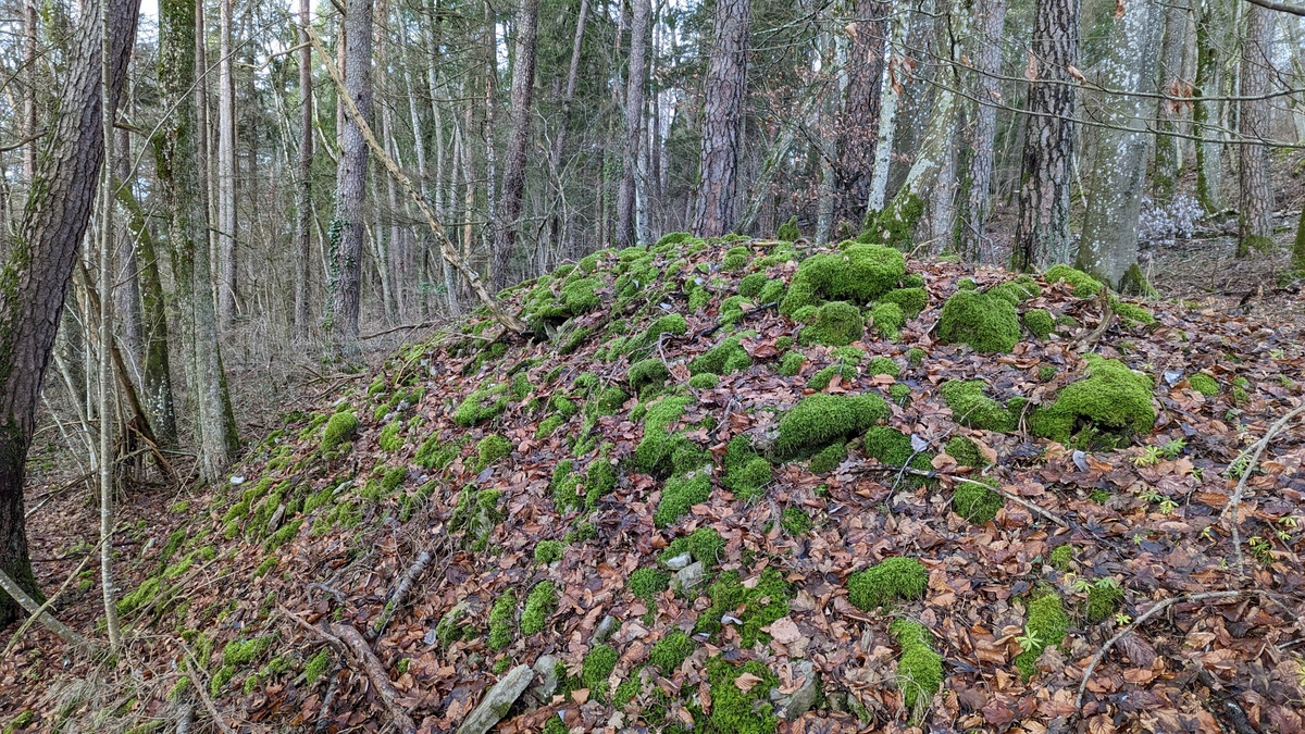 Moosbewachsener steinerner Hügel im Wald