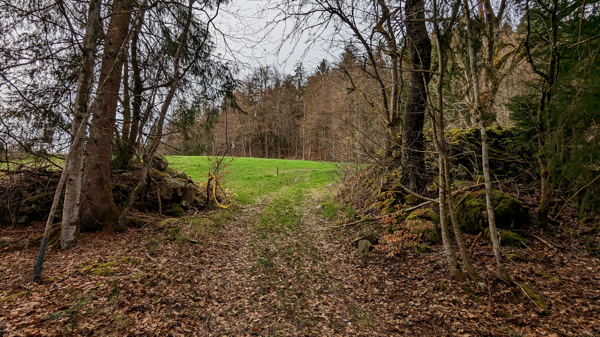 Aufgeschichtete, moosbewachsene Steinstruktur